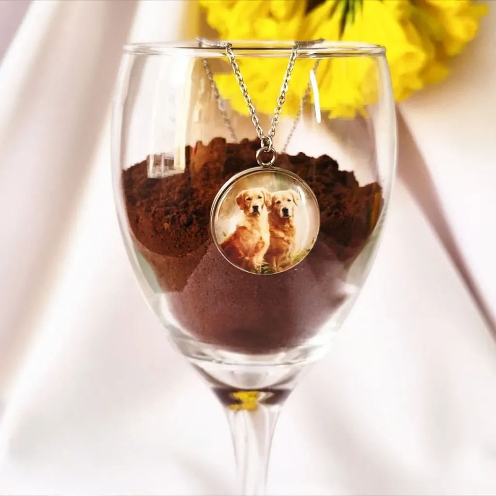 Collar ENCANTO en Cadena